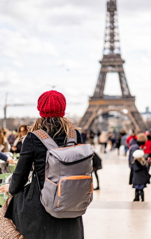 Companion Visa